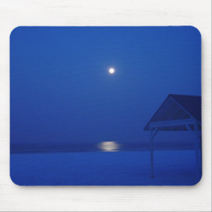 Siesta Key, Florida - volle maan over de golf bij Muismat