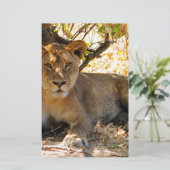 Siesta Time Briefpapier (Staand voorkant)