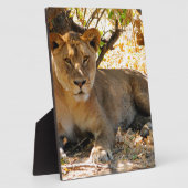 Siesta Time Fotoplaat (Zijkant)