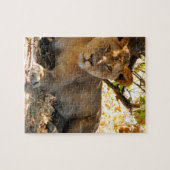 Siesta Time Legpuzzel (Horizontaal)