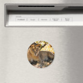 Siesta Time Magneet (Insitu (Vaatwasser))