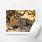 Siesta Time Muismat (Met muis)