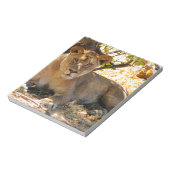 Siesta Time Notitieblok (Gedraaid)