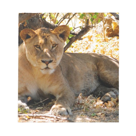 Siesta Time Notitieblok (Voorkant)