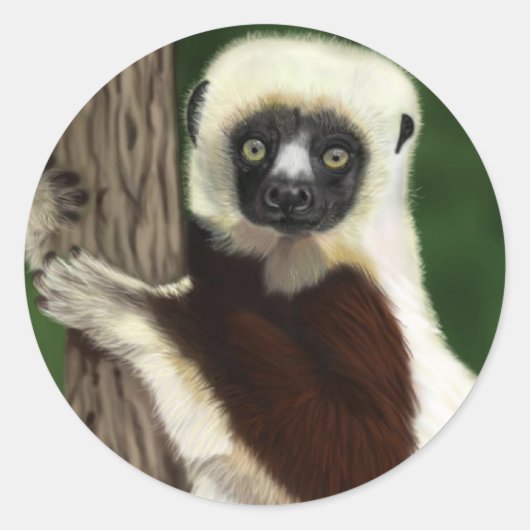 Sifaka stickers (Voorkant)