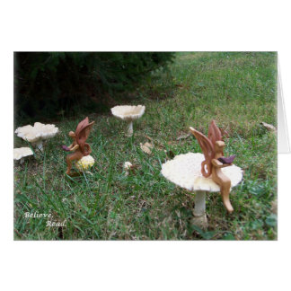 sigh_demidamsels_believe_5213