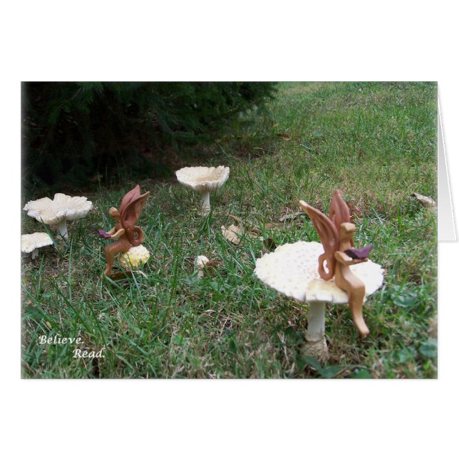 sigh_demidamsels_believe_5213 (Devant horizontal)