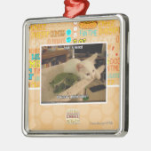 Sigh. Iz bored Metalen Ornament (Links)