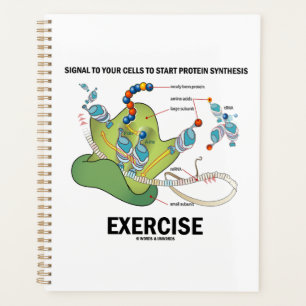Signaalcellen om te beginnen met Protein Synthesis Planner