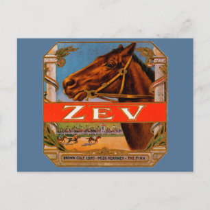 signaaletiket, Zev Race Horses Brown Colt Briefkaart