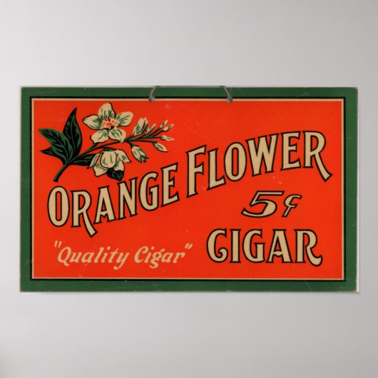 signaalreclame: Oranje bloem Poster (Voorkant)