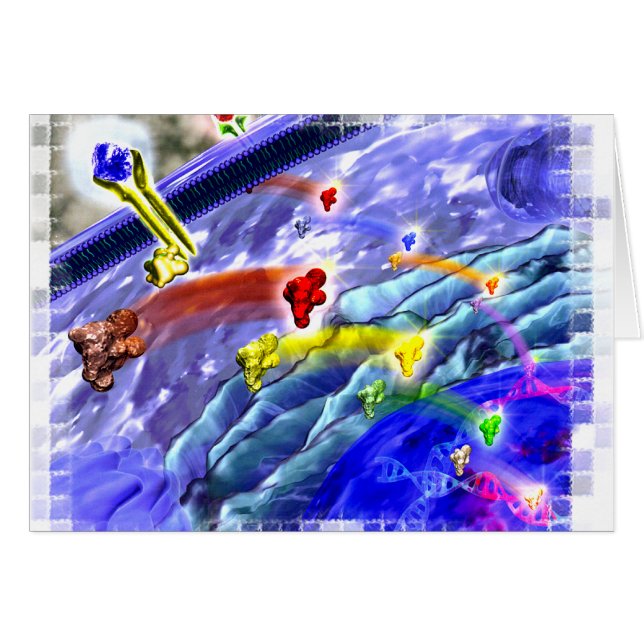 Signalerende landkaart (Voorkant Horizontaal)