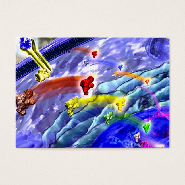 Signalisation d'une carte de profil de terrain (Devant)