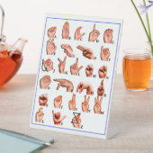 Signe De Table American Language Alphabet Board, Learn ASL (In SItu)
