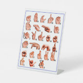 Signe De Table American Language Alphabet Board, Learn ASL (Recto)