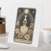 Signe De Table Anglais Springer Spaniel (In SItu)