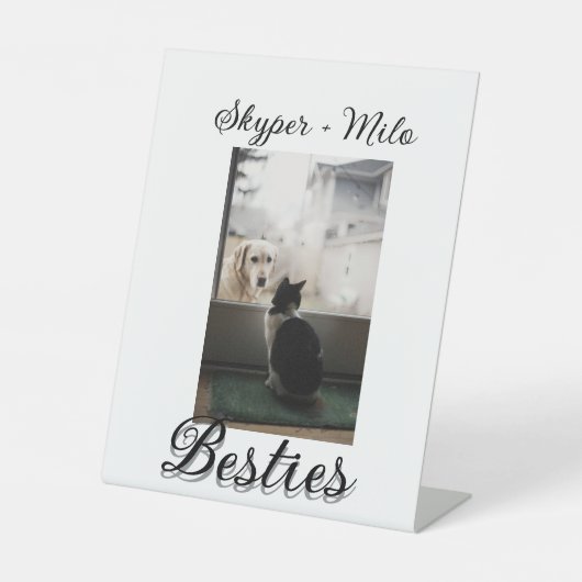 Signe De Table Animaux de compagnie amis besties ajouter nom anim (Recto)