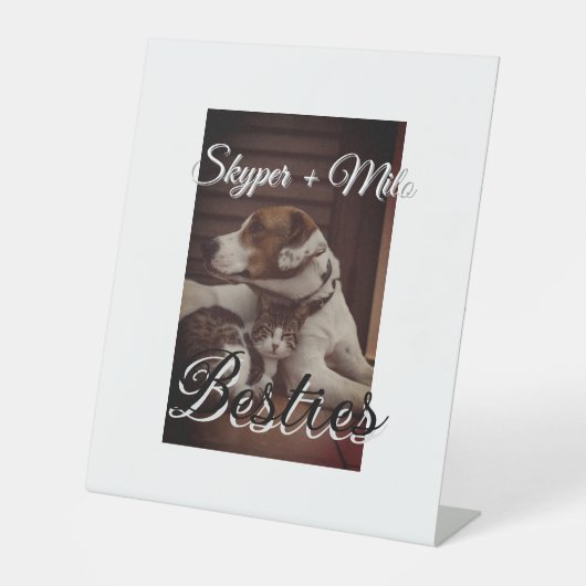 Signe De Table Animaux de compagnie amis besties ajouter nom anim (Recto)