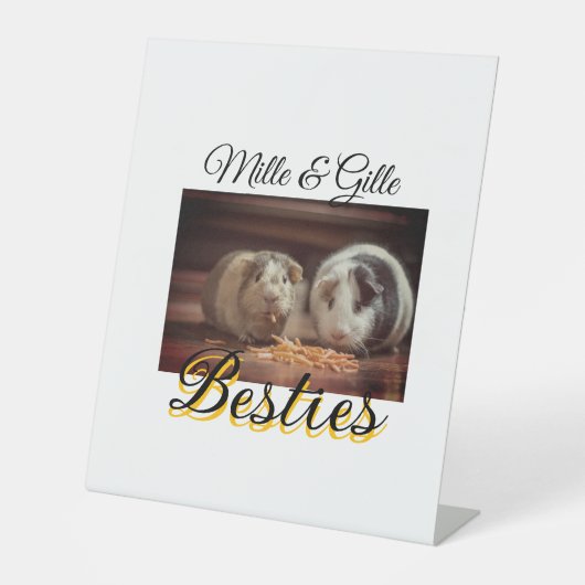 Signe De Table Animaux de compagnie amis besties ajouter nom anim (Recto)