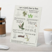 Signe De Table Apprendre à identifier les Plantes de poison (In SItu)