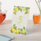 Signe De Table Aquarelle Lemon Anniversaire (In SItu)