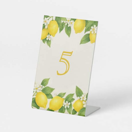 Signe De Table Aquarelle Lemon Anniversaire (Recto)