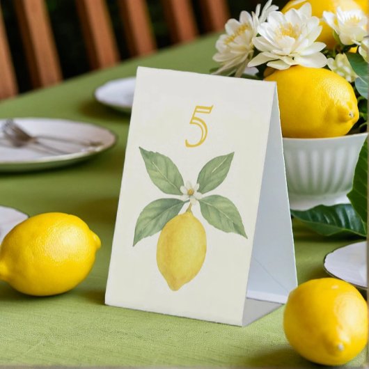 Signe De Table Aquarelle Lemon Anniversaire