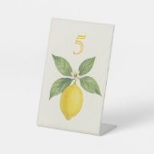 Signe De Table Aquarelle Lemon Anniversaire (Recto)