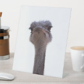 Signe De Table autruche (In SItu)