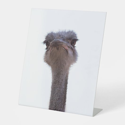 Signe De Table autruche (Recto)