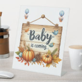 Signe De Table Baby shower d'automne de tableau de piédestal (In SItu)