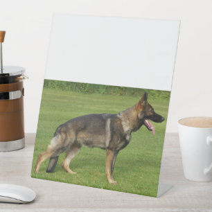 Signe De Table Berger Allemand Sable Complet