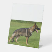 Signe De Table Berger Allemand Sable Complet (Recto)