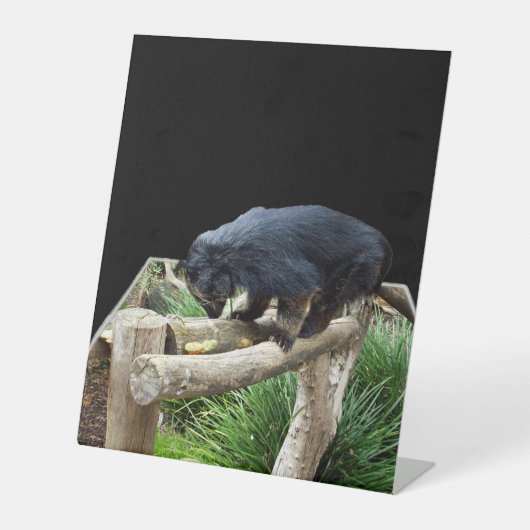 Signe De Table Binturong, (Chat D'Ours) (Recto)