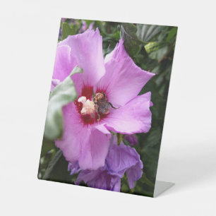 Signe De Table Bumblebebe sur la fleur d'Hibiscus