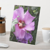 Signe De Table Bumblebebe sur la fleur d'Hibiscus (In SItu)