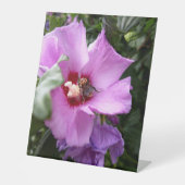 Signe De Table Bumblebebe sur la fleur d'Hibiscus (Recto)