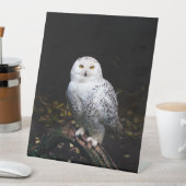 Signe De Table Chouette hivernale majestueuse (In SItu)