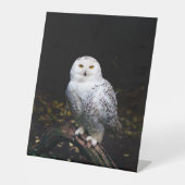 Signe De Table Chouette hivernale majestueuse (Recto)
