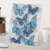 Signe De Table Composition des White and Blue Butterflies (In SItu)