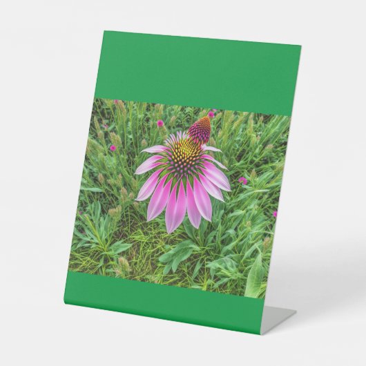 Signe De Table Cônes Amour (Recto)