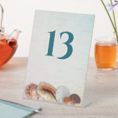 Signe De Table Coquillages de mer vivants Numéro de tableau (In SItu)