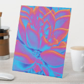 Signe De Table Couleur arc-en-ciel plante Succulent (In SItu)