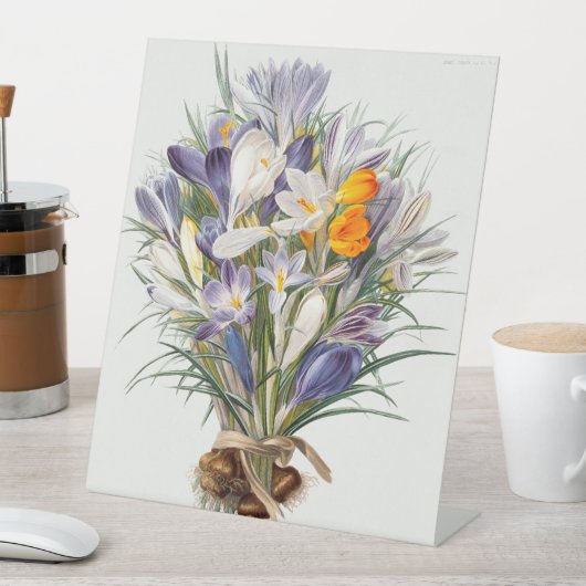 Signe De Table Crocus Spring Flower Botanique Floral Art (In SItu)