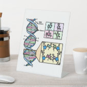 Signe De Table Diagramme d'ADN (In SItu)