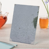 Signe De Table Ducks In Pond Photo (In SItu)