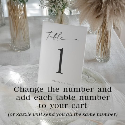 Signe De Table Elegant Modern Handwriting Wedding Table Numbers