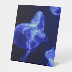 Signe De Table Enseigne sur Pied en Plastique 25x30 cm