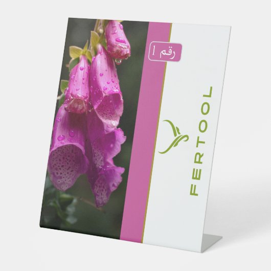 SIGNE DE TABLE FERTOOL (Recto)