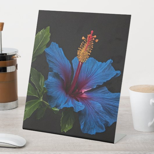 Signe De Table Fleur d'Hibiscus Bleu Florant, (In SItu)